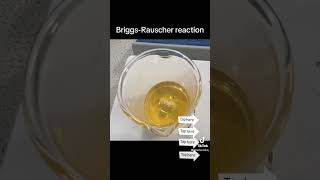 BriggsRauscher reaction fun science fyp [upl. by Madanhoj]