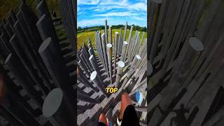 Never Climb Such Poles shortsvideo [upl. by Ury]