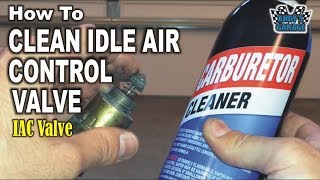 How To Clean Idle Air Control IAC Valve Andy’s Garage Episode  73 [upl. by Wiese]