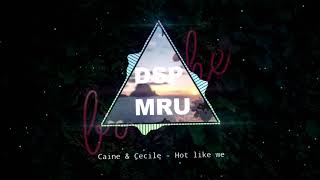 Caine amp Cécile  Hot like we Gold Touch Riddim Dsp Effect [upl. by Cassil]