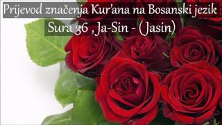 Sura 36  JaSin  Jasin Prijevod na Bosanski HD [upl. by Nonohcle]