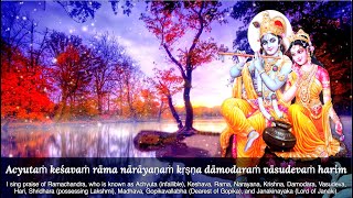 Achyutashtakam Lyrics amp Meaning  Achyutam Keshavam  Aks amp Lakshmi [upl. by Marline]