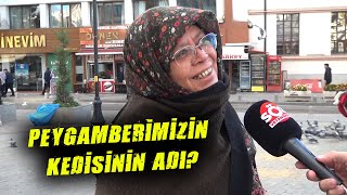 Peygamber Efendimizin Kedisinin Adı Nedir [upl. by Modern377]