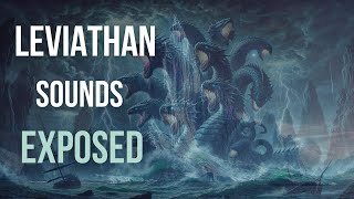 Leviathan Sounds EXPOSED Whats Hiding in Antarctica [upl. by Ennaj]