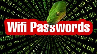 Get WiFi Passwords With Python  python project for beginners [upl. by Amandy]