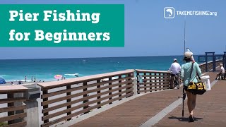 Pier Fishing for Beginners [upl. by Ahtanaram]