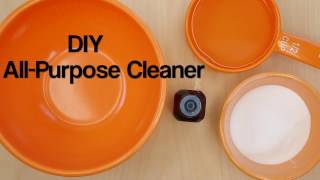 Homemade All Purpose Cleaner [upl. by Notfa]