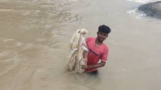 Hirakud Dam Re machhadhara video viralvideo video hirakuddam videos fishing [upl. by Aivon]