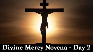 Divine Mercy Novena Day 2  Saturday March 30th 2024 [upl. by Garner598]