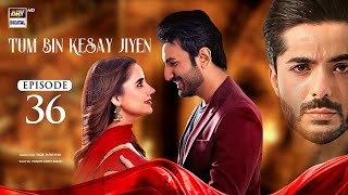 Tum Bin Kesay Jiyen Episode 36  30 March 2024 English Subtitles ARY Digital [upl. by Eckart389]