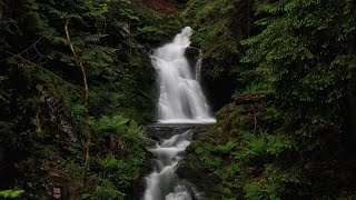 Der Todtmooser Wasserfall zwischen RÃ¼tte und Hintertodtmoos [upl. by Kostival]