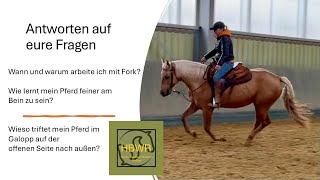 Die Westernreitstunde Antworten auf eure Fragen zu Fork und Schenkelhilfe [upl. by Eey]