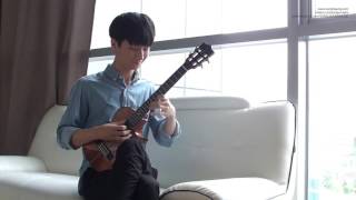 Johann Pachebel Canon – Sungha Jung Ukulele [upl. by Kere951]