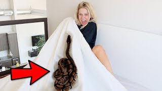 IVE NEVER SEEN ALYSSA THIS SCARED SNAKE PRANK ON GIRLFRIEND [upl. by Philipp843]