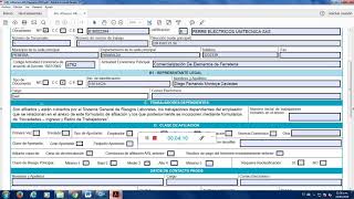 Formulario Afiliacion ARL Empresa [upl. by Nosilla538]