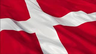 National Anthem of Denmark FIFA FIFA World Cup 2010 version [upl. by Hildegaard]