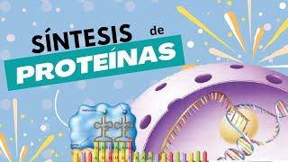 Síntesis de Proteínas  En menos de 10 minutos ⚡ [upl. by Auqinaj]