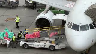 Baggage Loading and Unloading to Flight  Air Arabia Flight  Baggage Services flight aviation [upl. by Ellett611]