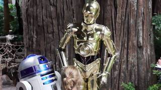 C3PO talks with guests at Disneys Hollywood Studios during Star Wars Weekends [upl. by Droffig]