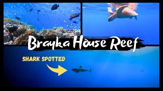 BRAYKA RESORT  SNORKELING 2023  MARSA ALAM [upl. by Linc]