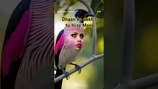 Dhankesari dhan ke dekh Lo [upl. by Ledba]