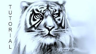 How To Draw Tiger  YouTube Studio Sketch Tutorial [upl. by Anairdna]