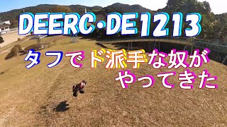 こんなラジコン見たことない！LEDライト煌めく、未知でタフなラジコン DEERCDE1213 [upl. by Raseda]