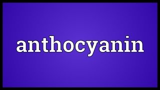 Anthocyanin Meaning [upl. by Cynthla]