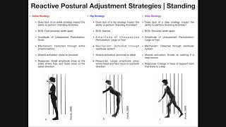 Reactive Postural Adjustments  Strategies For Maintaining Balance [upl. by Halet241]