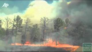 Raw Video Shows How Fast Texas Wildfire Spread [upl. by Klimesh]