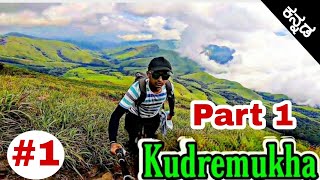 Trekking to Kudremukha part 1  walking in dense forest Ep1 Kannada vlog  Dr Bro [upl. by Tartaglia73]