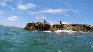 Seal Rock Dive  San Clemente CA [upl. by Meelak]