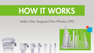 How it Works Hollow Fiber TFF Tangential Flow Filtration [upl. by Marko]