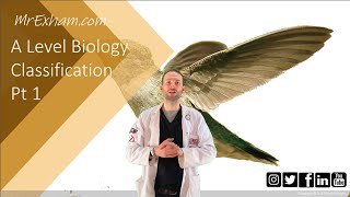 Classification Part 1  A Level Biology [upl. by Olrak]