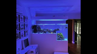 Peninsula drop off salt water fish tank build [upl. by Ayit139]