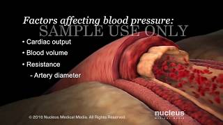 Understanding Basic Blood Pressure Control  Nucleus Health [upl. by Yentterb60]