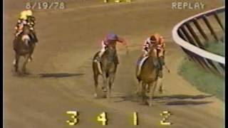 Affirmed vs Alydar  1978 Travers Stakes Final Meeting [upl. by Aenahs773]