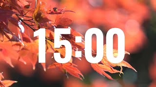 15 Minute Fall Timer with Relaxing Piano Music  Autumn Focus amp Relaxation [upl. by Theo415]