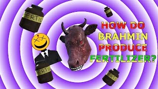 How Do Brahmin Produce Fertilizer Fallout 4 [upl. by Schechinger356]