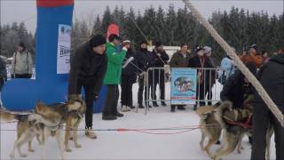 22 Internationales Schlittenhunderennen in Frauenwald 2Wettkampftag 2017 [upl. by Audri165]