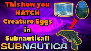 This is what you SHOULD do with Creature Eggs in Subnautica Egg Hatching Guide [upl. by Jard]