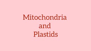 Mitochondria and Plastids neetbiology [upl. by Janeen623]