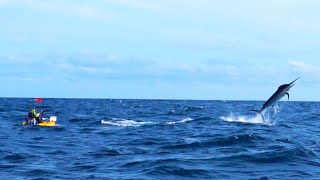 500Pound Marlin Tows Kayak Fisherman 15 Miles Out to Sea  Panama  Field Trips with Robert Field [upl. by Erich]