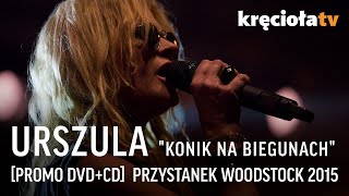 Urszula  quotKonik na biegunachquot PROMO DVDCD  Przystanek Woodstock 2015 [upl. by Kcirdde452]