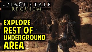 A Plague Tale Requiem  All Boss Fights No Damage Hard Difficulty [upl. by Iy]