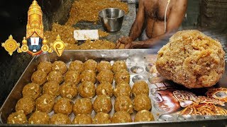 Making of Special Tirumala Tirupati Laddu Recipe  World Famous Indian Sweet  Live Food [upl. by Aelem]