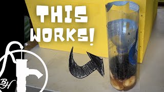 Homemade Fly Trap [upl. by Maryjo814]