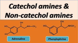 Catechol amines and Noncatechol amines as adrenergic agonists [upl. by Lucas]