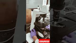 Bacterial smear  bacterial smear preparation [upl. by Aggri998]