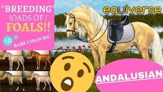 Breeding Andaluisans Equiverse [upl. by Airetal882]